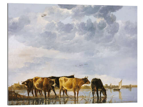 Gallery print Cows in a river