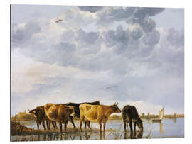 Tableau en plexi-alu Vaches dans une rivière