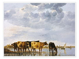 Póster Vacas en un río