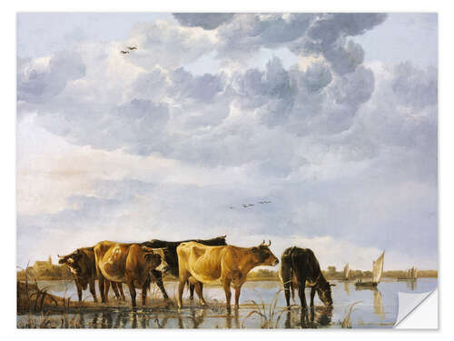 Naklejka na ścianę Cows in a river