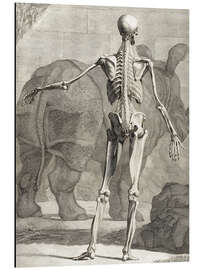 Magnettafel Clara und Albinus, TAB VIII