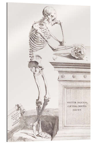 Galleriprint Opera Omnia Anatomica & Chirurgica