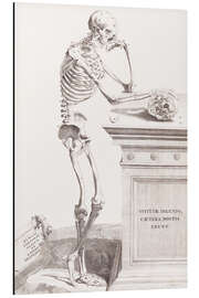 Magnettafel Opera Omnia Anatomica &amp; Chirurgica