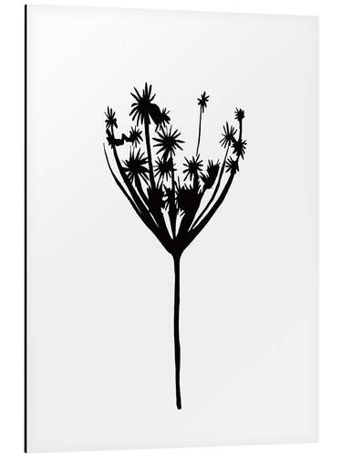 Aluminium print Dried flowers