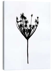 Canvas print Dried flowers