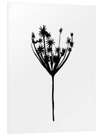 Foam board print Dried flowers