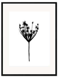 Framed art print Dried flowers