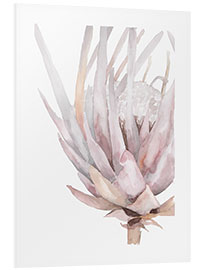 Foam board print Rose King Protea