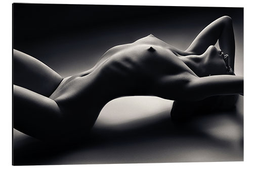 Aluminium print Sensual curves