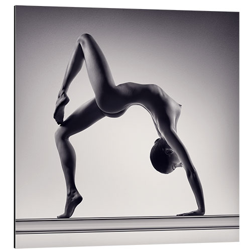 Aluminium print Sensual acrobatics