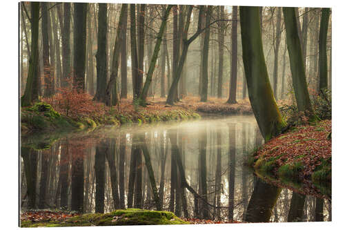 Gallery Print Die Heilkraft der Wälder