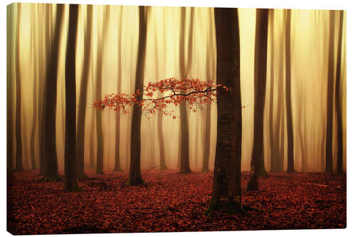 Canvastavla Magical autumn morning