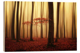 Wood print Magical autumn morning - Martin Podt