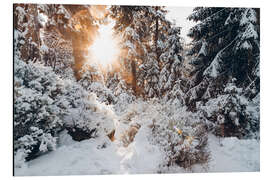 Aluminiumsbilde Snowy winter woods with sun