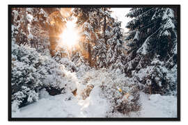 Gerahmter Kunstdruck Verschneite Winter Wälder mit Sonne