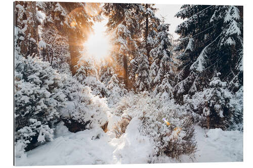 Gallery Print Verschneite Winter Wälder mit Sonne