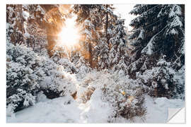 Wall sticker Snowy winter woods with sun