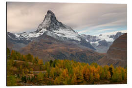 Tableau en aluminium Le Cervin en robe d'automne, Suisse