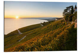 Aluminium print Vineyards on Lake Geneva in the sunset