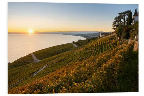 PVC print Vineyards on Lake Geneva in the sunset