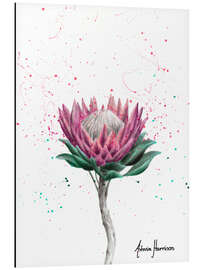 Aluminium print Sugarbush Flower