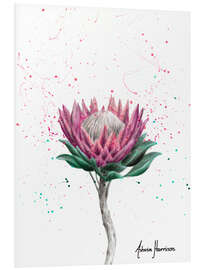 Foam board print Sugarbush Flower