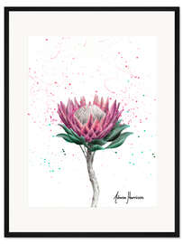 Gerahmter Kunstdruck Blume des Zuckerbuschs