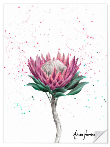 Sticker mural Fleur de protea