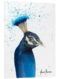 Foam board print Peacock Portrait