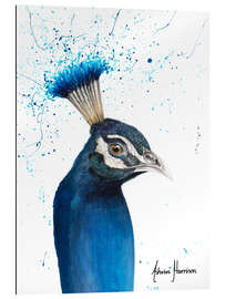 Gallery print Peacock Portrait