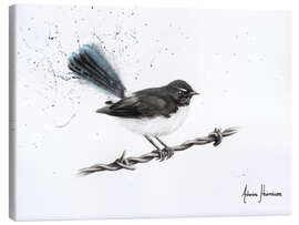 Canvas print Centenary Willy Wagtail