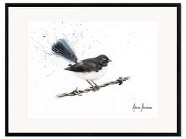 Kunsttryk i ramme Centenary Willy Wagtail