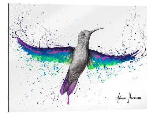 Gallery print Glowing garden hummingbird