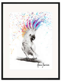 Gerahmter Kunstdruck Stolzer Kakadu - Ashvin Harrison