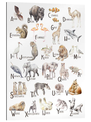 Gallery print Animal Alphabet (Dutch)