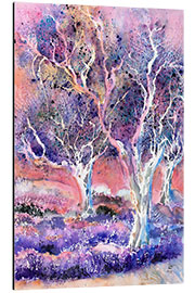 Aluminium print Olive trees Provence