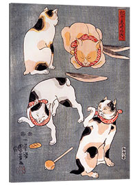 Galleriprint Four cats adopting different feline postures