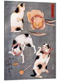 Magnettafel Vier Katzen in verschiedenen Posen