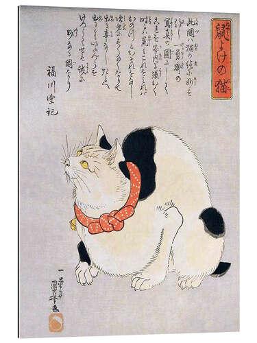 Galleritryk A Japanese cat