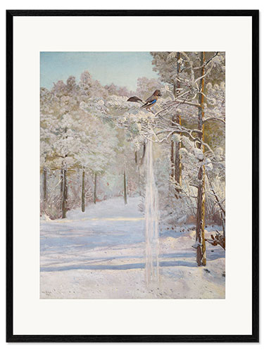 Framed art print Jay