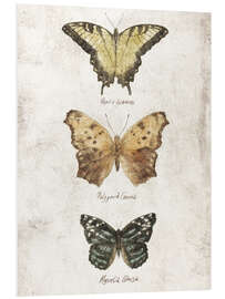 Foam board print Butterflies II