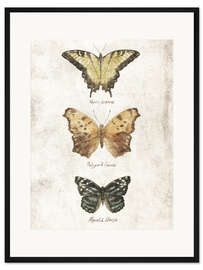 Gerahmter Kunstdruck Schmetterlinge II