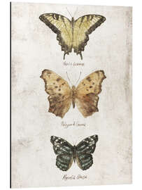 Magnettafel Schmetterlinge II