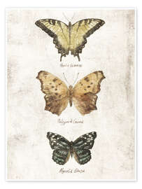 Wandbild  Schmetterlinge II - Mike Koubou