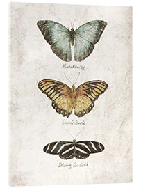 Akrylglastavla  Butterflies I - Mike Koubou