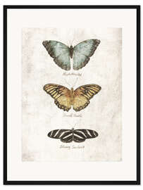 Gerahmter Kunstdruck Schmetterlinge I