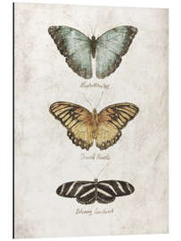 Magnettafel Schmetterlinge I