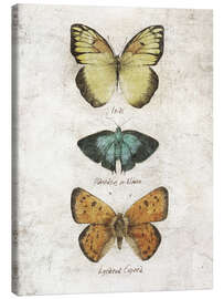 Lærredsbillede  Butterflies V - Mike Koubou