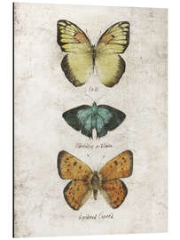 Magnettafel Schmetterlinge V