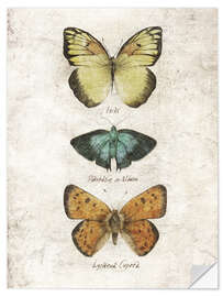 Selvklebende plakat Butterflies V